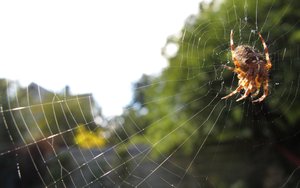 霍林郭勒市翻譯有限責任公司